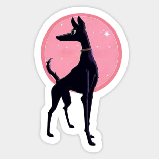 Posing greyhound in the limelight Sticker